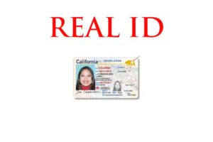 Lee más sobre el artículo Qué es el REAL ID